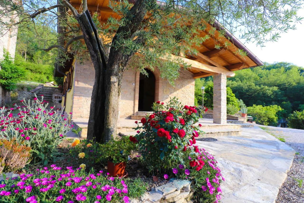 Agriturismo La Tana Città di Castello Eksteriør bilde